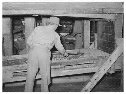 Peanut Shelling Plant Screens Cleaning Comanche Texas 1939