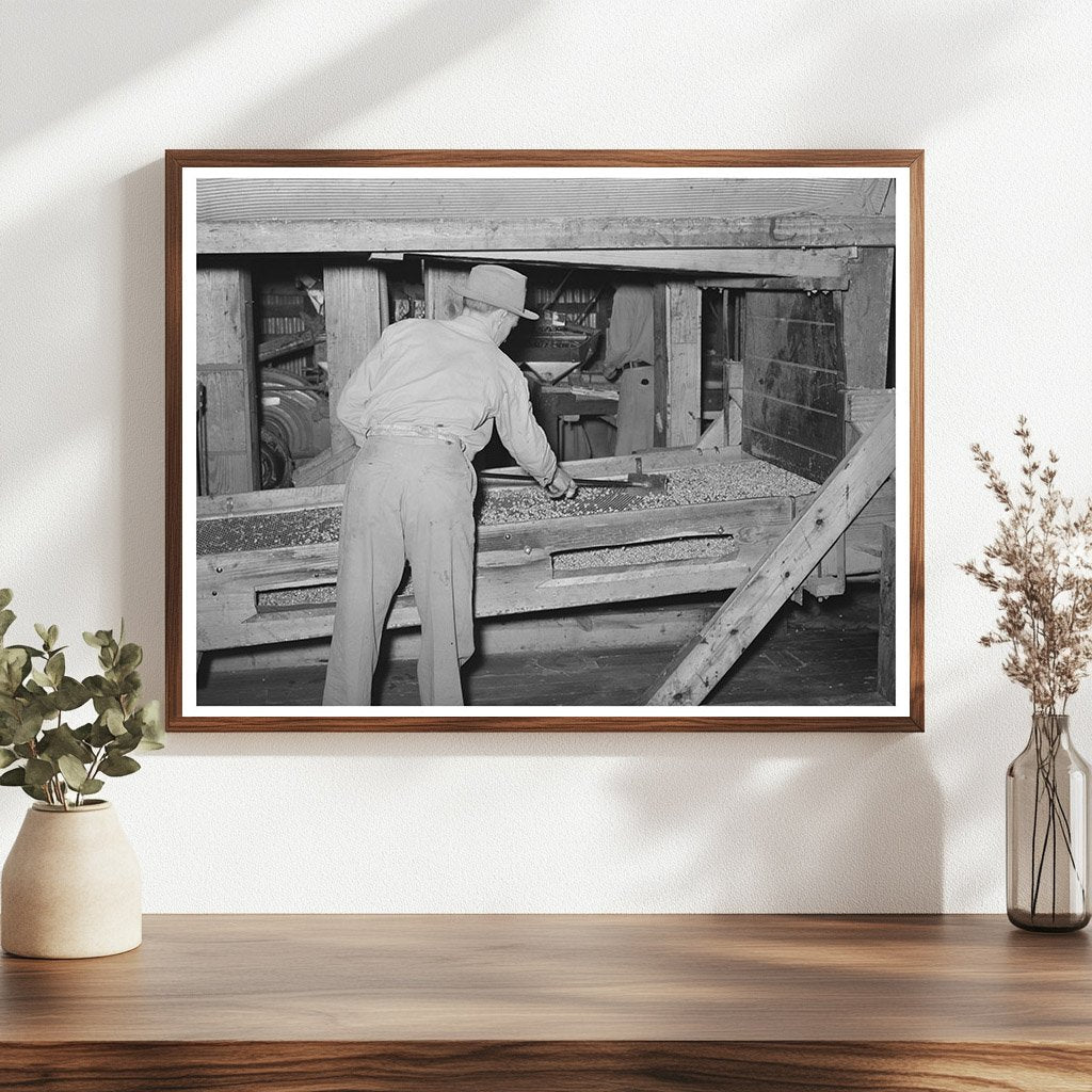 Peanut Shelling Plant Screens Cleaning Comanche Texas 1939