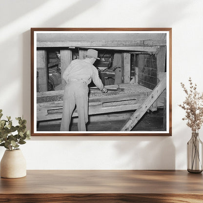 Peanut Shelling Plant Screens Cleaning Comanche Texas 1939