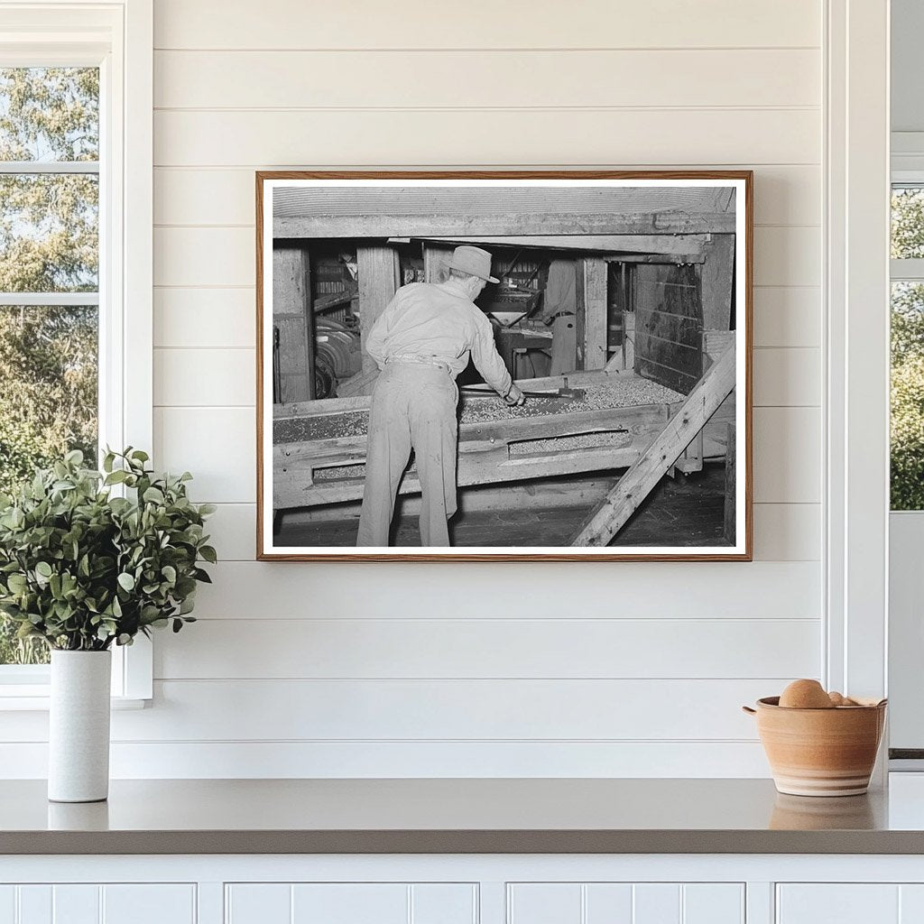 Peanut Shelling Plant Screens Cleaning Comanche Texas 1939