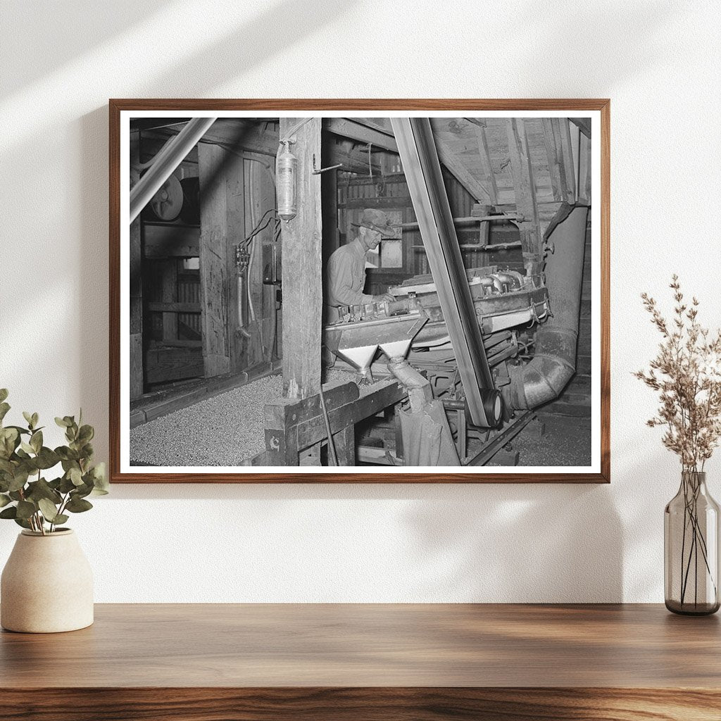 Workers Grading Peanuts in Comanche Texas 1939