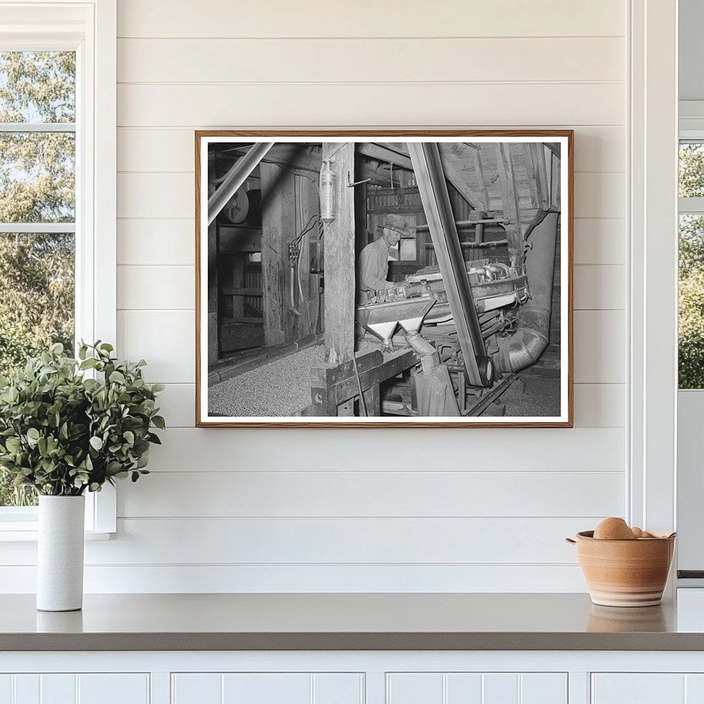 Workers Grading Peanuts in Comanche Texas 1939