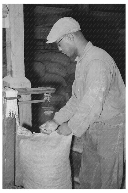 Workers Sewing Cotton Seed Meal at Texas Oil Mill 1939