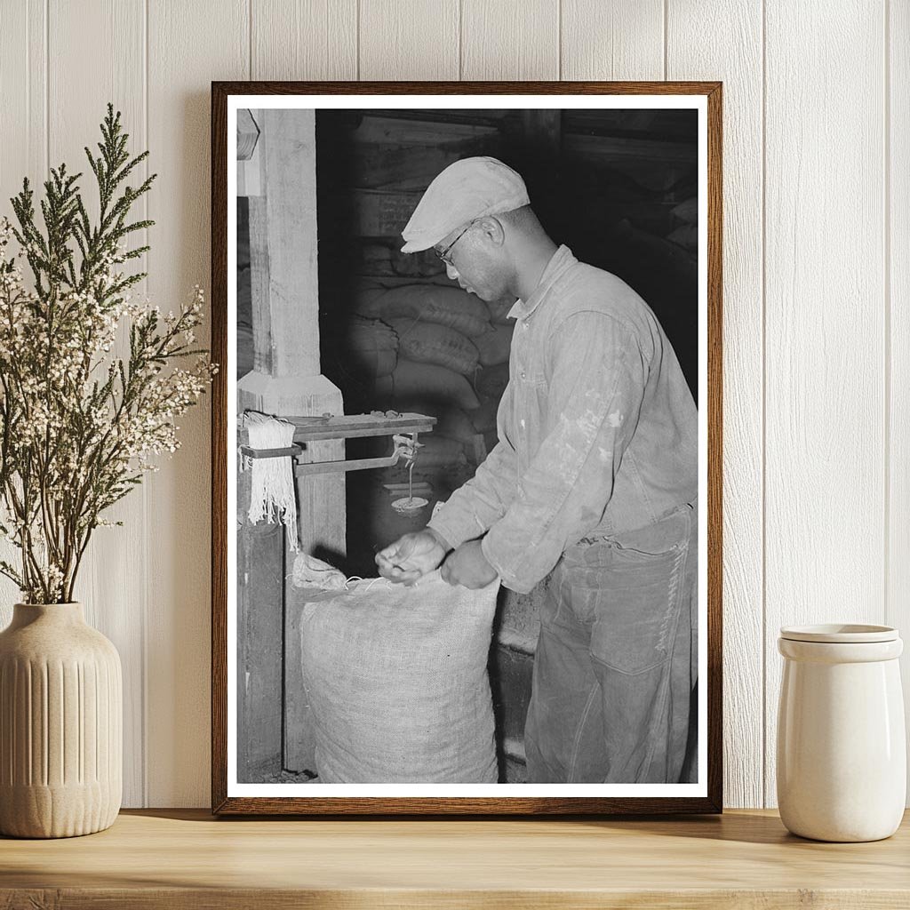 Workers Sewing Cotton Seed Meal at Texas Oil Mill 1939