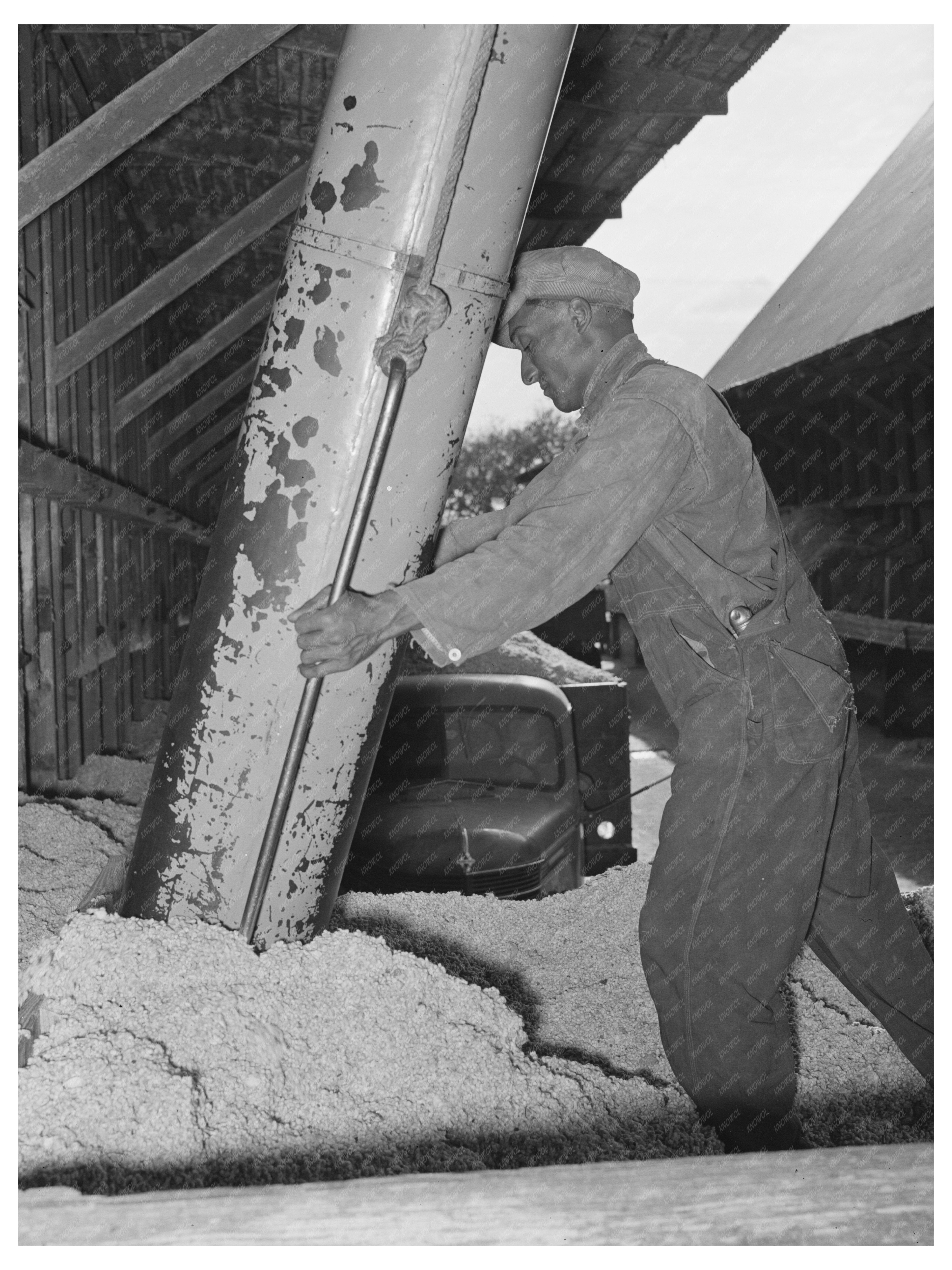 Cotton Seed Oil Mill Unloading in McLennan County 1939