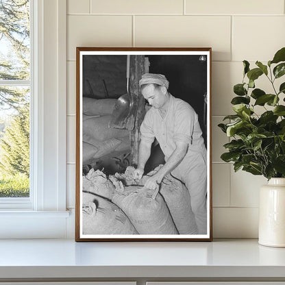 Worker at Peanut-Shelling Plant Comanche Texas 1939