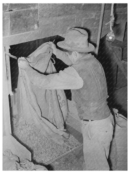 Peanut Shelling Plant Workers Comanche Texas 1939