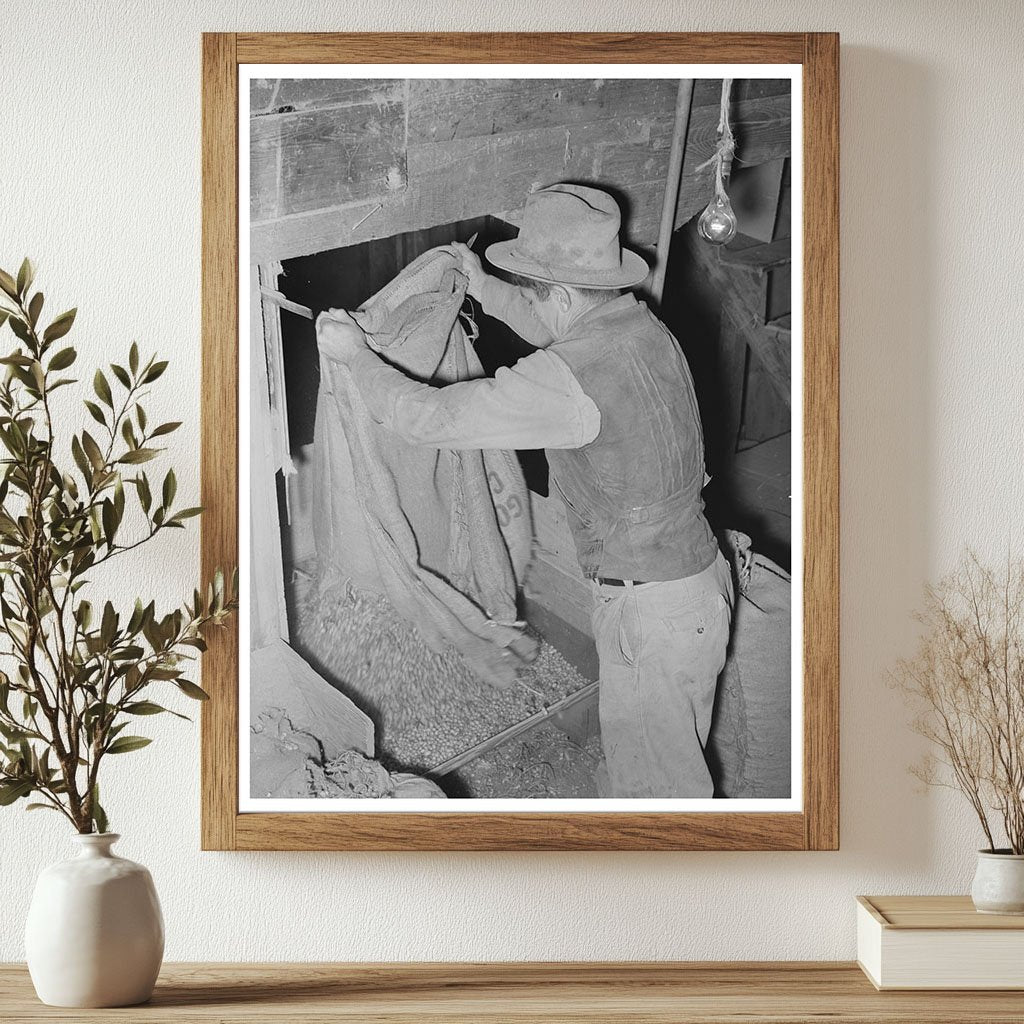 Peanut Shelling Plant Workers Comanche Texas 1939