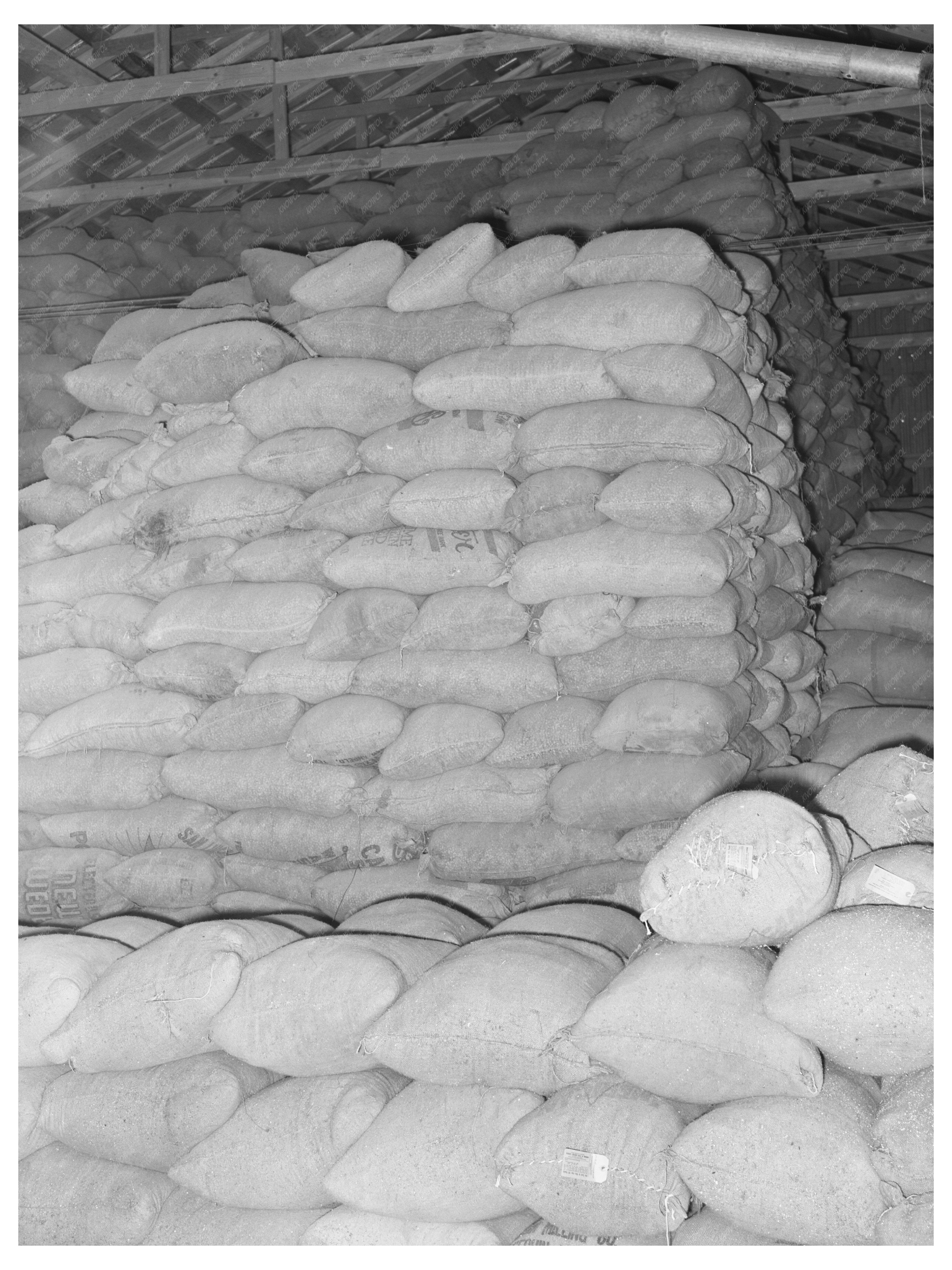 Peanut Shell Feed and Molasses Comanche Texas 1939