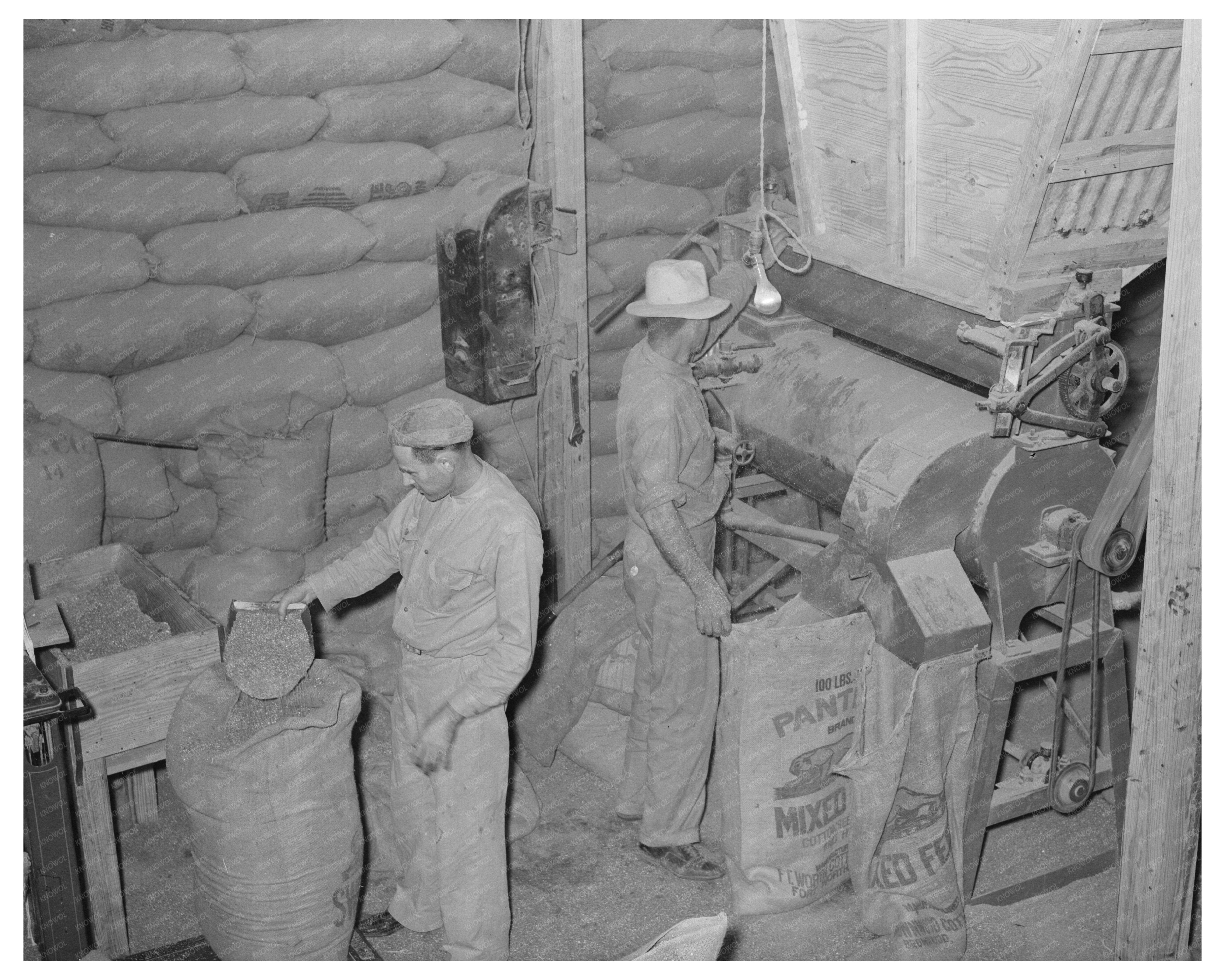 Peanut Shell Feed Production in Comanche Texas 1939