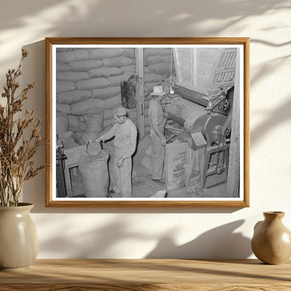 Peanut Shell Feed Production in Comanche Texas 1939