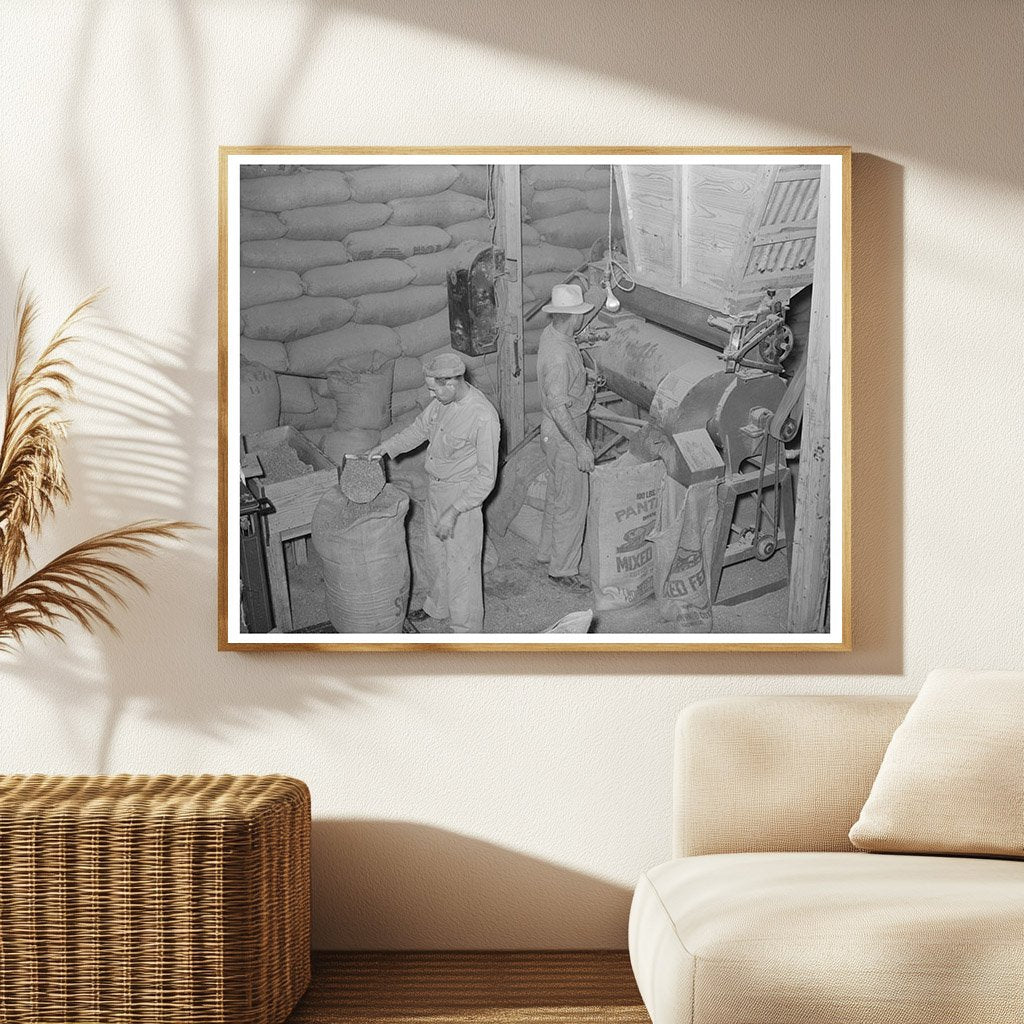 Peanut Shell Feed Production in Comanche Texas 1939