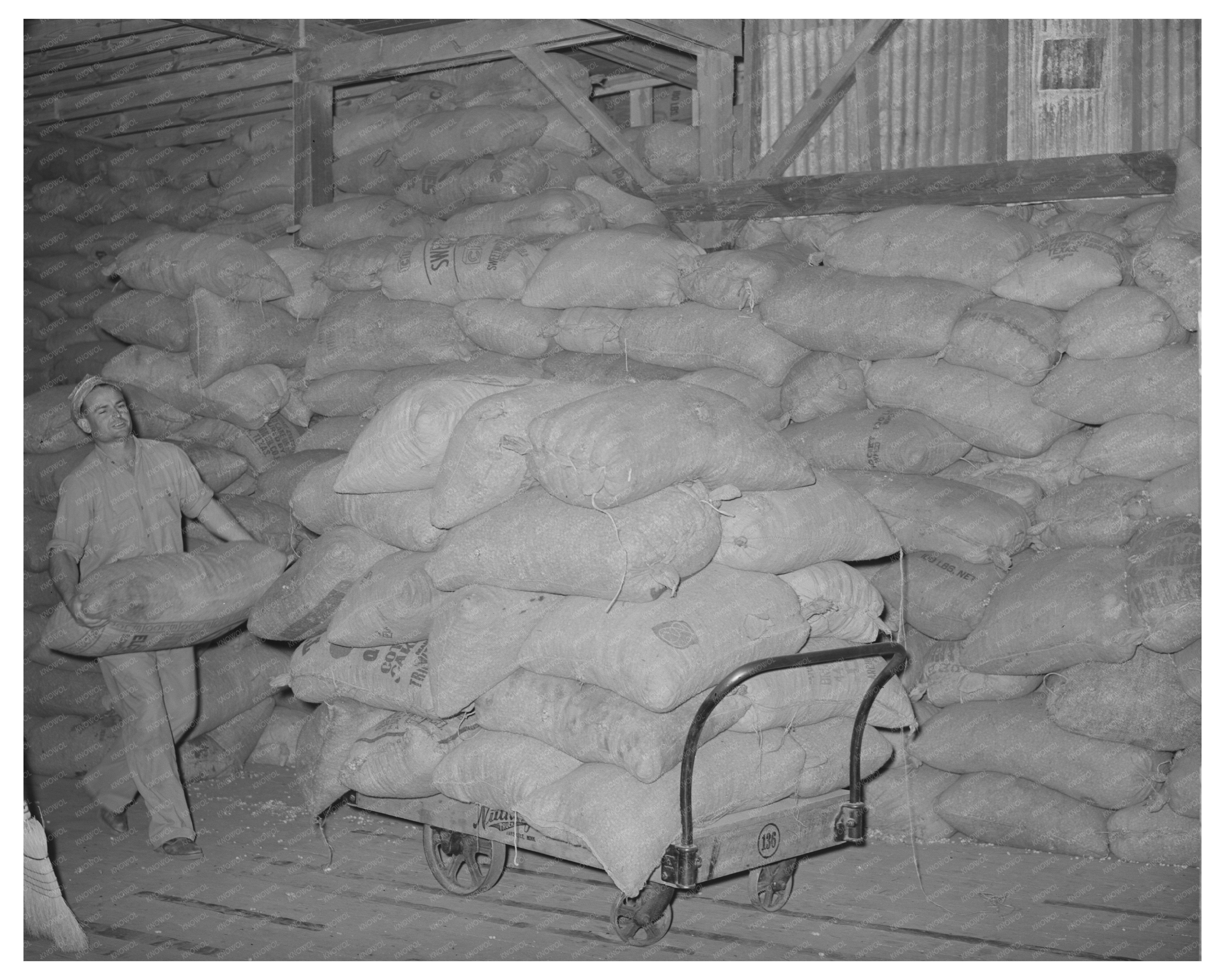 Peanut Shell Feed Loading at Comanche Plant November 1939