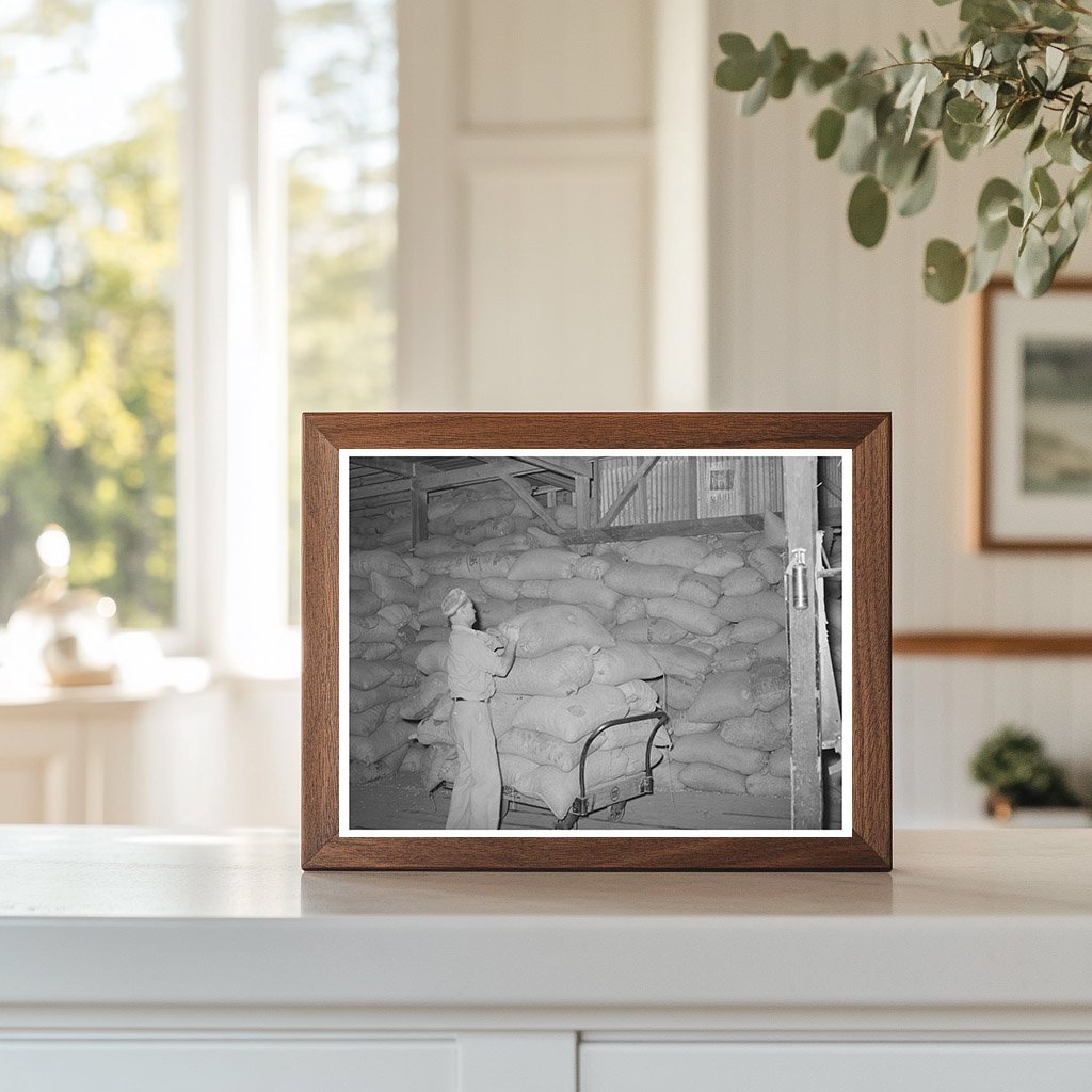 Peanut Shell Feed Loading Truck Comanche Texas 1939