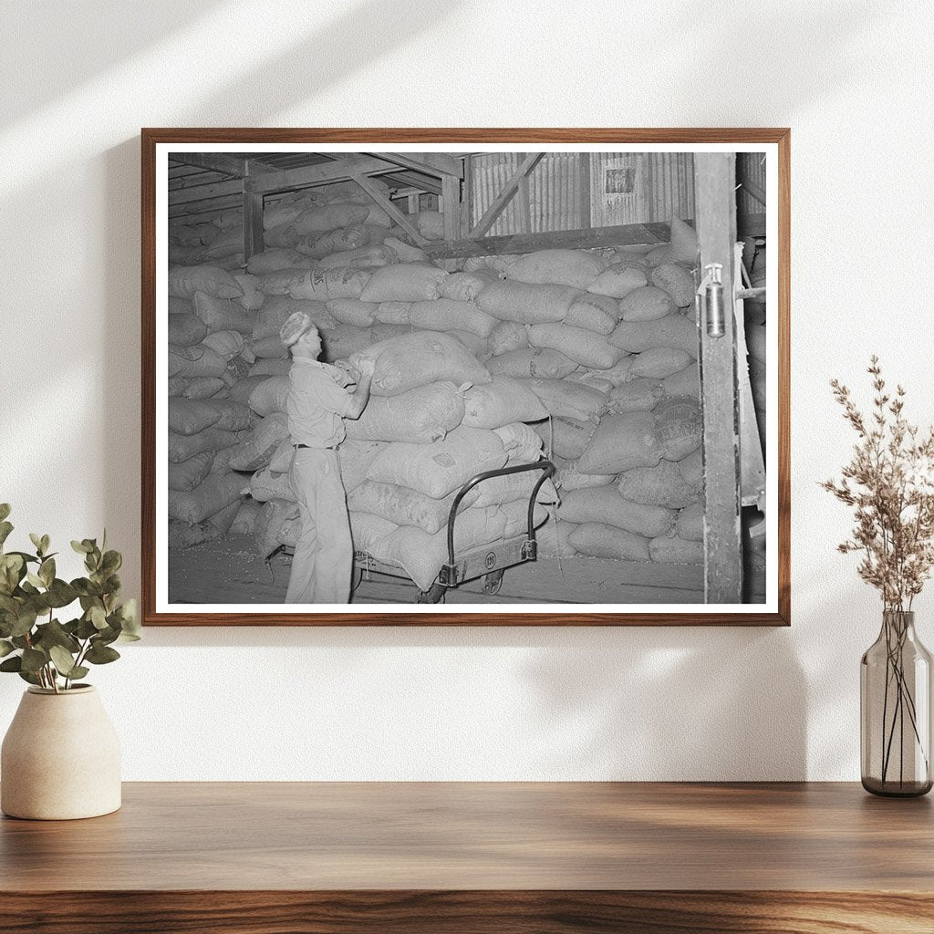 Peanut Shell Feed Loading Truck Comanche Texas 1939