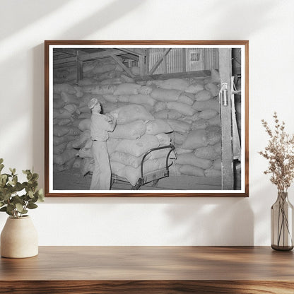 Peanut Shell Feed Loading Truck Comanche Texas 1939