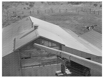 Peanut Shell Transport System Comanche Texas 1939