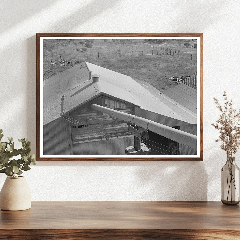 Peanut Shell Transport System Comanche Texas 1939