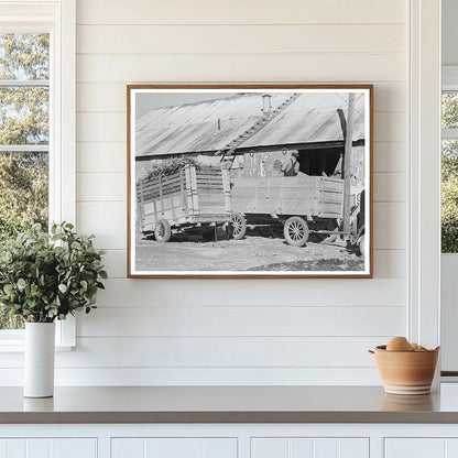 Corn Stover Unloading at Feed Mill Taylor Texas 1939