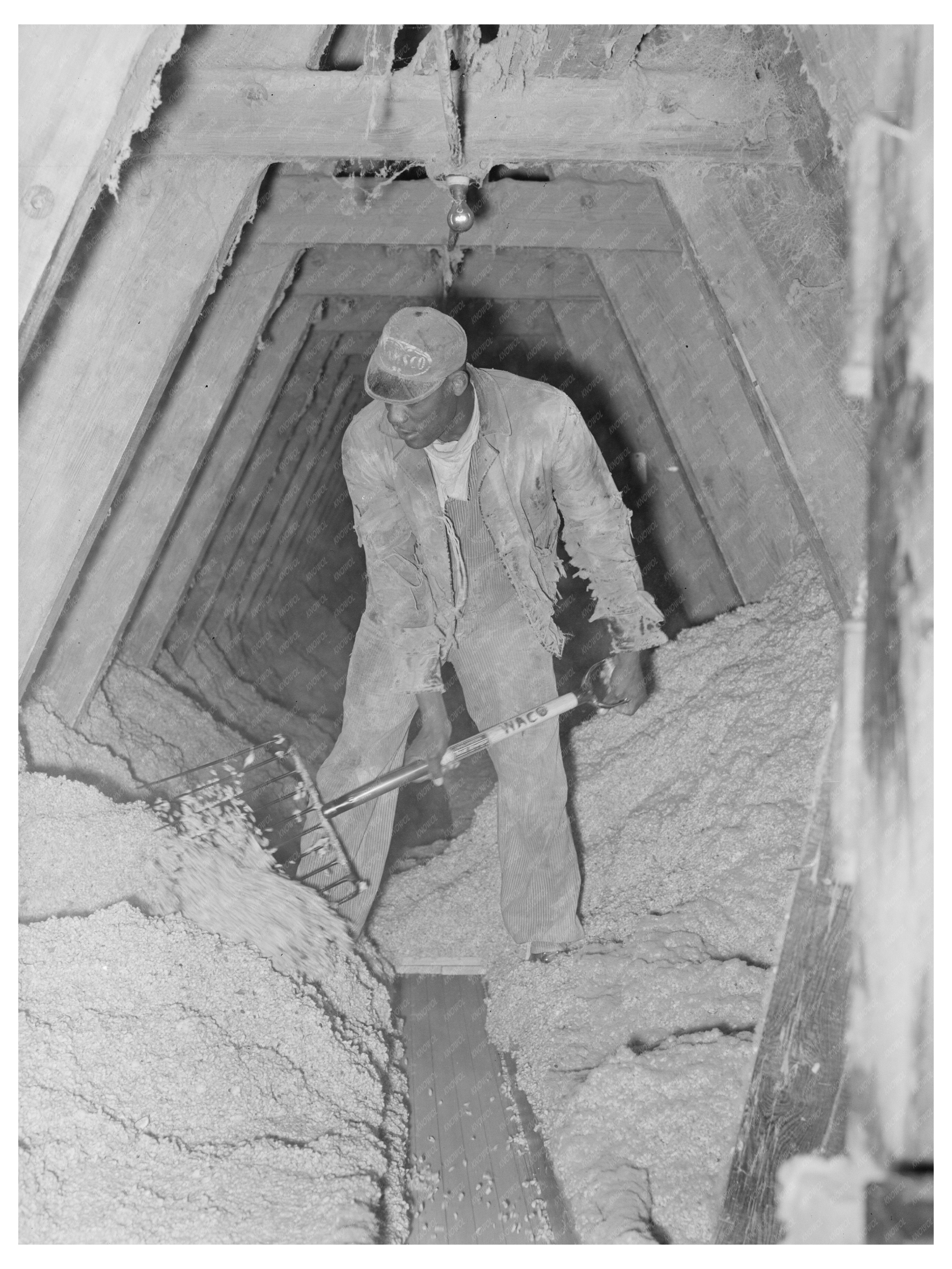 Cotton Seed Processing at Texas Oil Mill November 1939