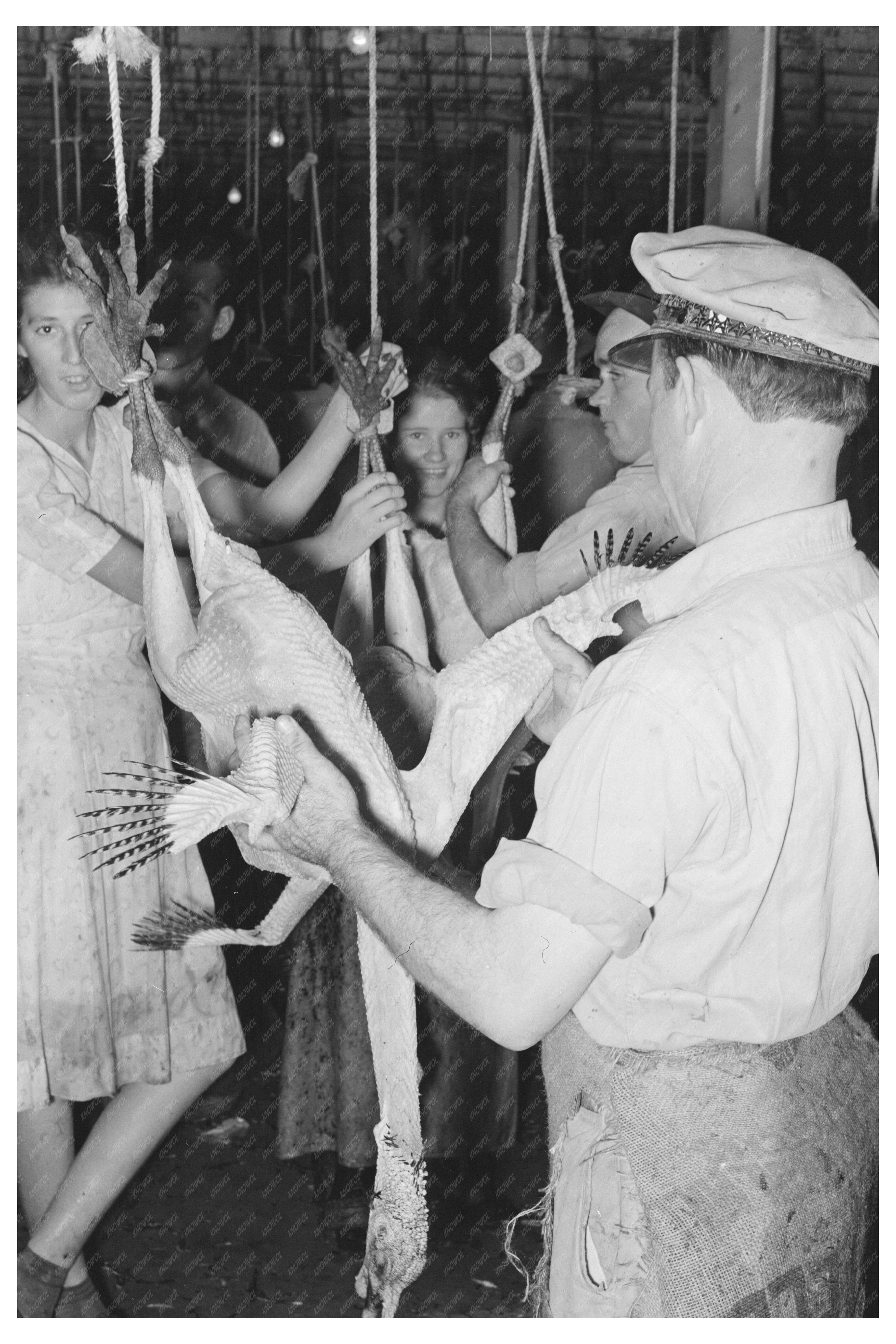 Turkey Picking at Cooperative Poultry House Brownwood 1939