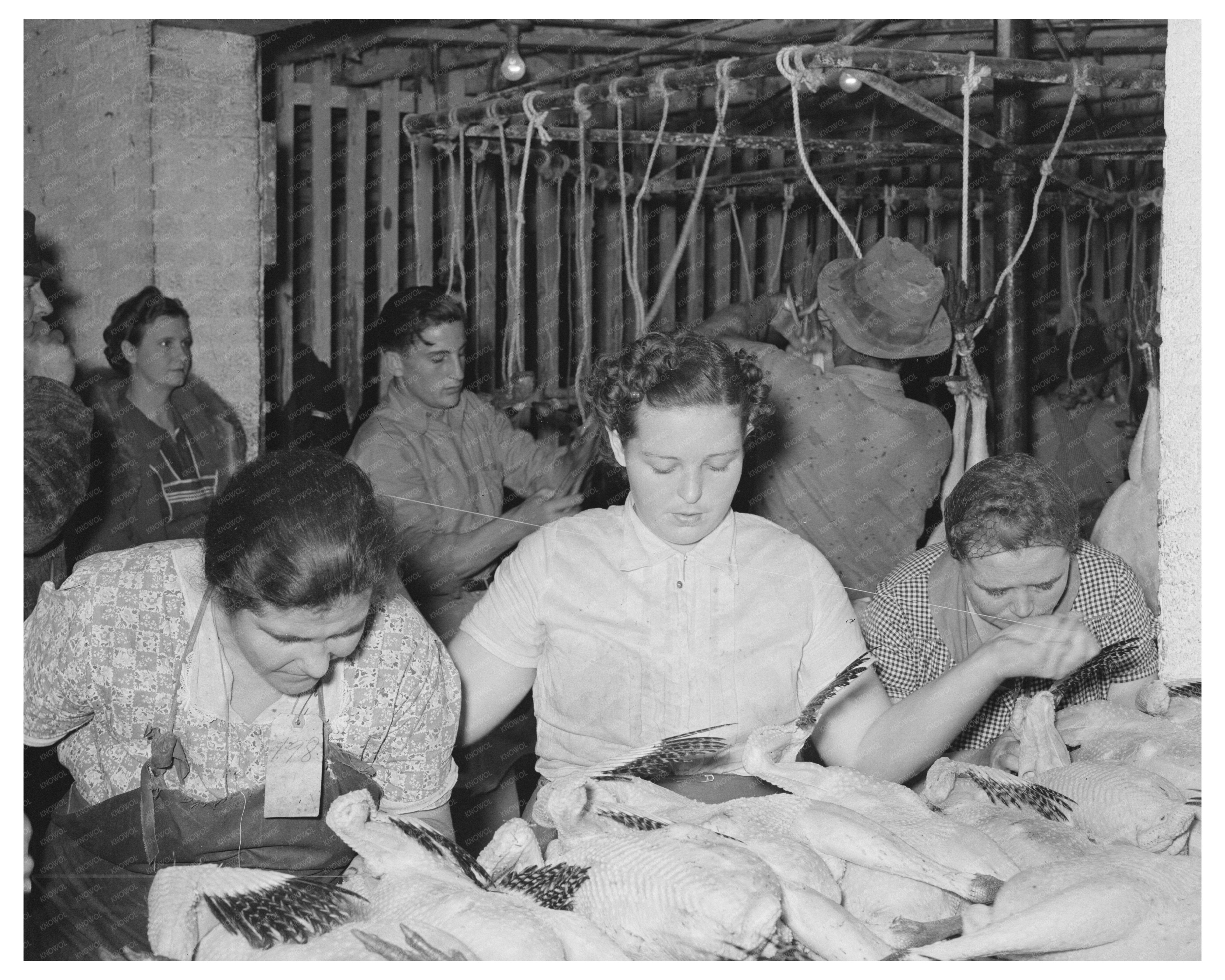 Workers Sewing Dressed Turkeys Brownwood Texas 1939