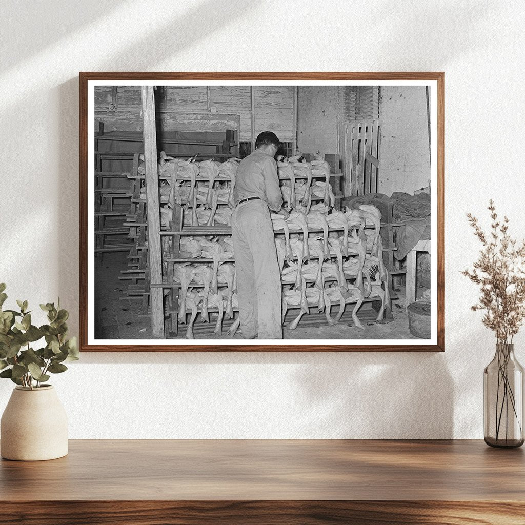 Workers Processing Turkeys in Brownwood Texas 1939