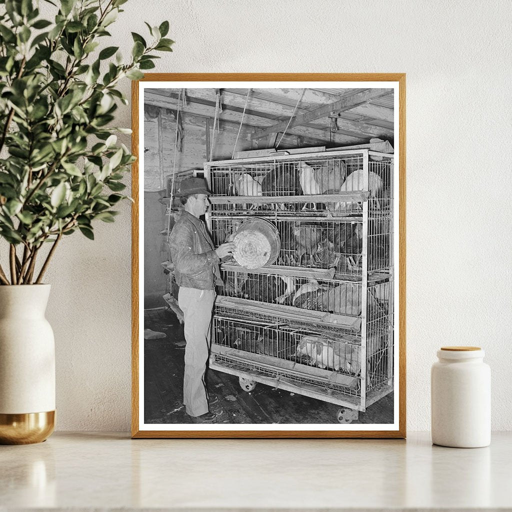 Poultry Feeding at Cooperative House Brownwood Texas 1939