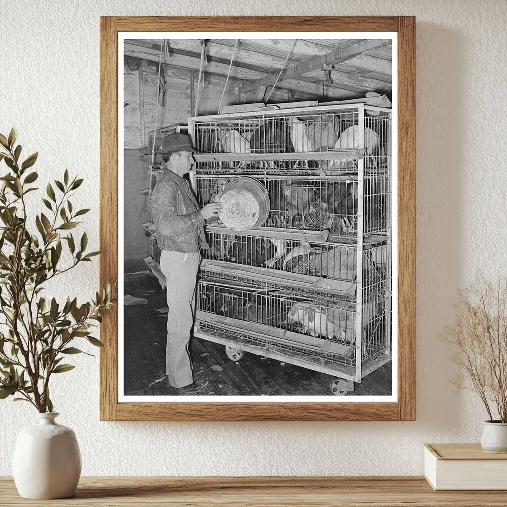 Poultry Feeding at Cooperative House Brownwood Texas 1939