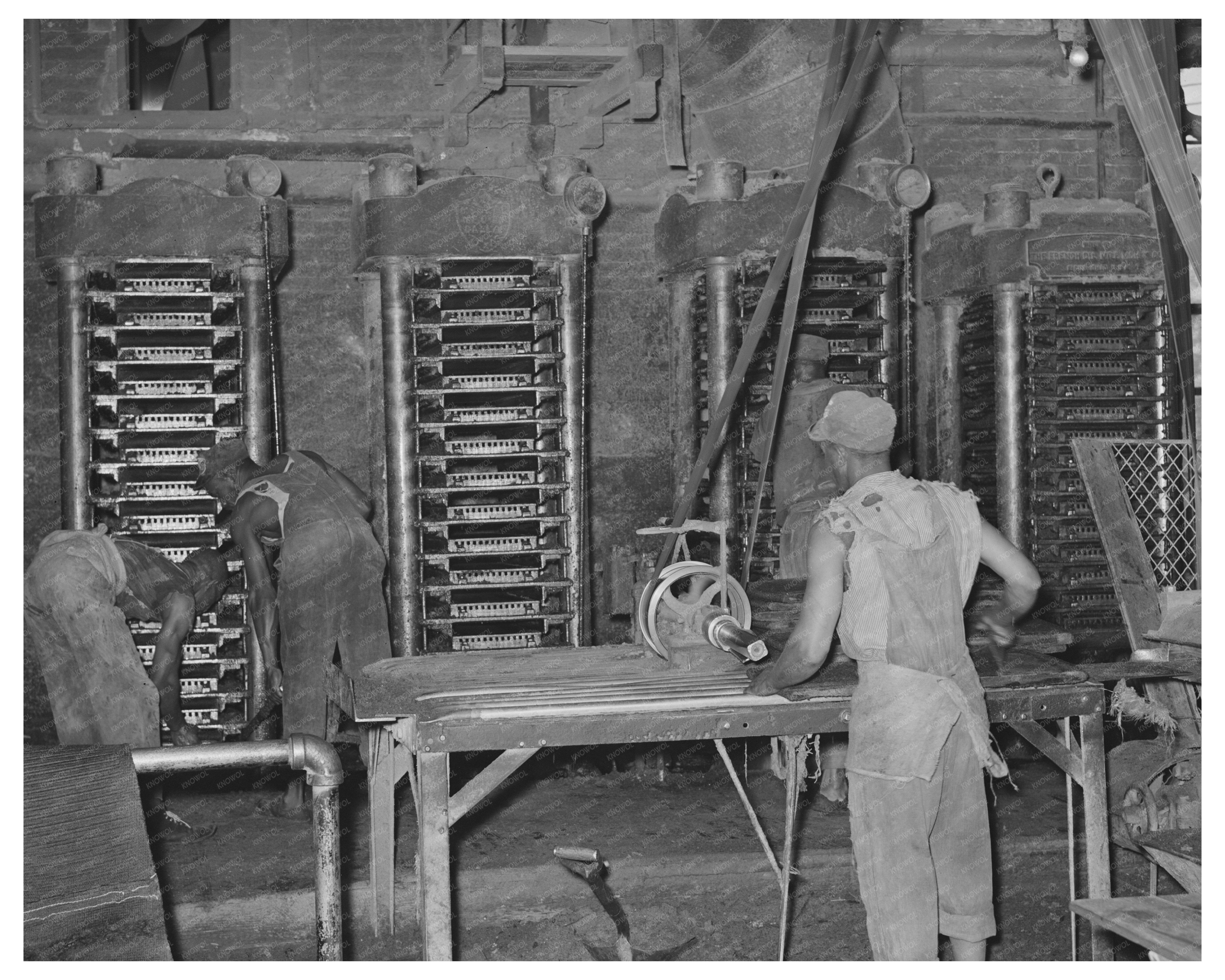 Hydraulic Presses for Cotton Seed Oil Production 1939