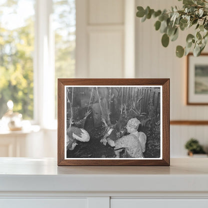 Turkey Processing Facility Brownwood Texas 1939