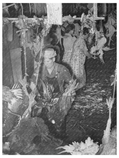 Workers Picking Turkeys in Brownwood Texas 1939