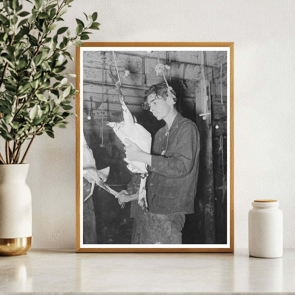 Turkey Picking at Cooperative Poultry House Texas 1939