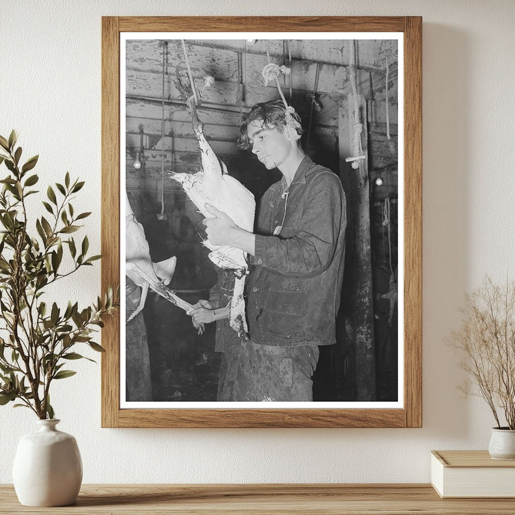 Turkey Picking at Cooperative Poultry House Texas 1939