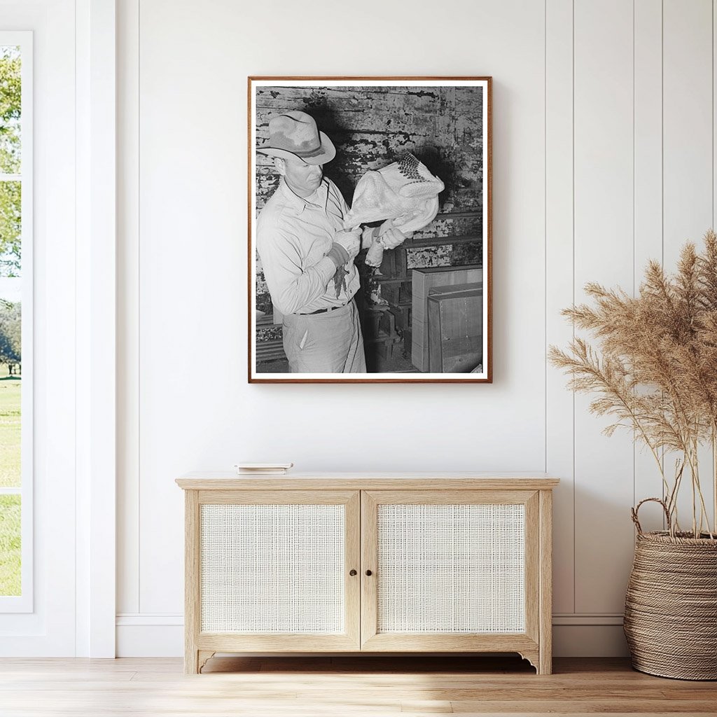 Grading Turkeys at Cold Storage Plant Texas 1939