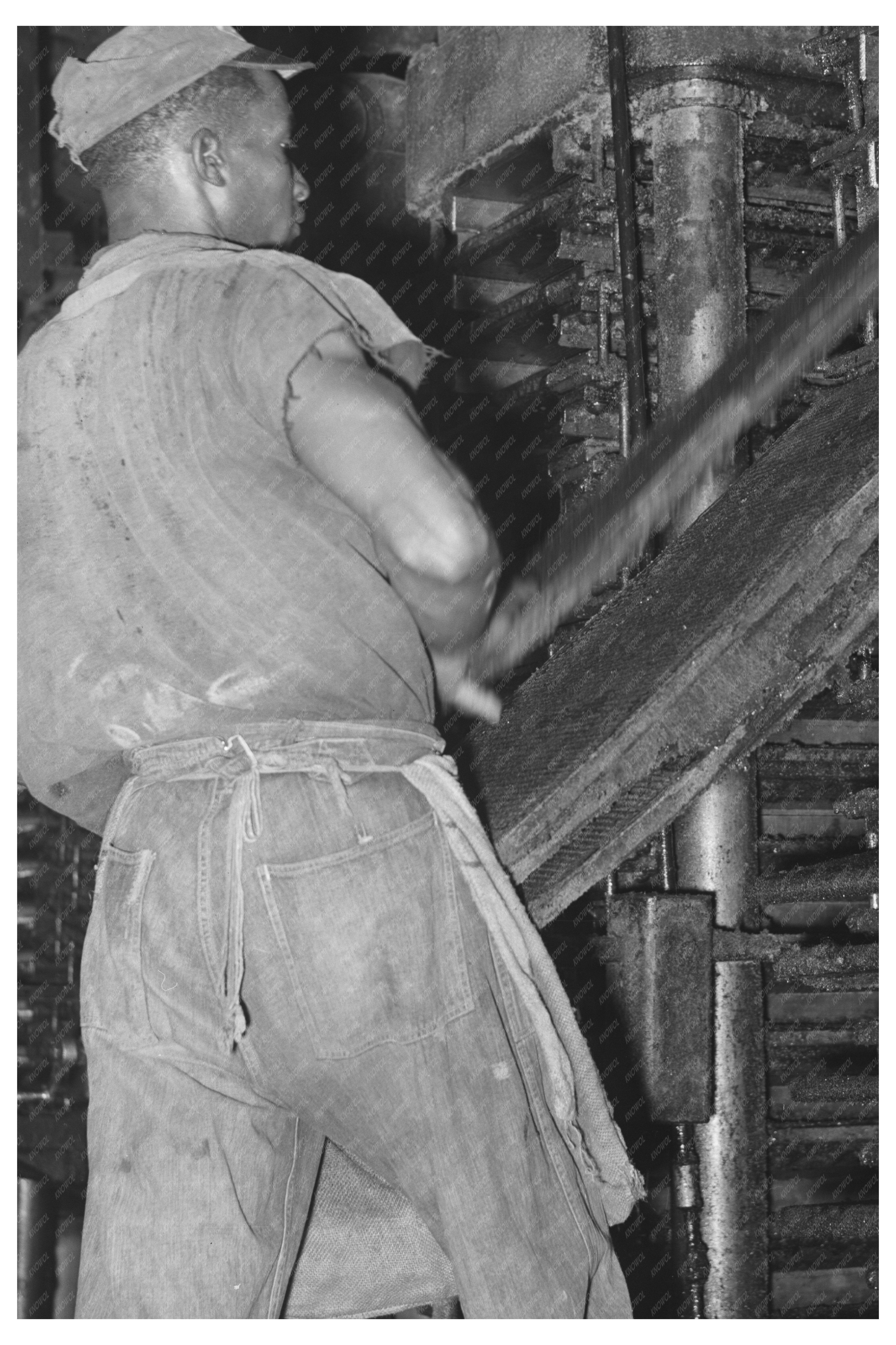 Cotton Seed Oil Mill Process McLennan County Texas 1939