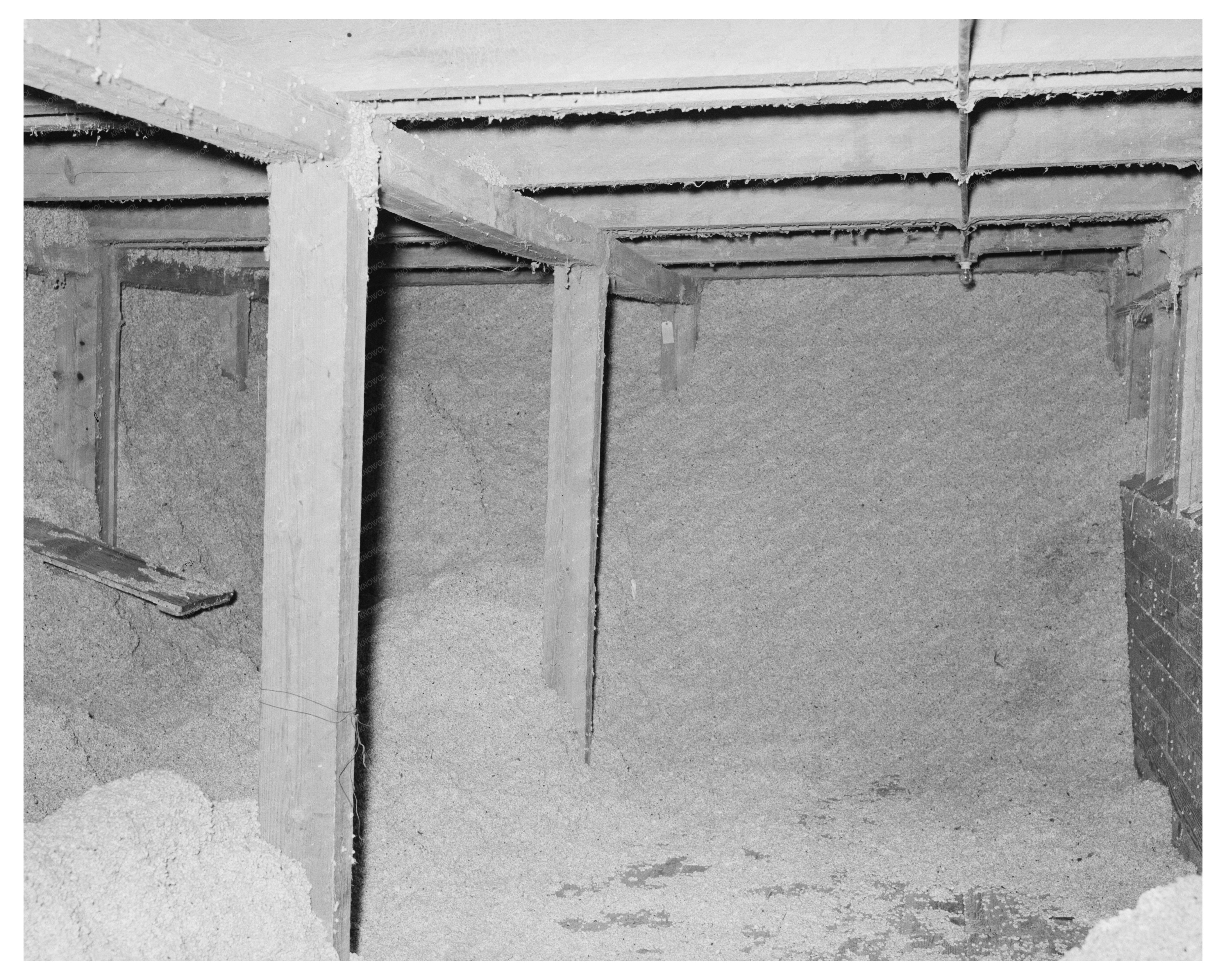 Cotton Seed Storage at McLennan County Oil Mill 1939