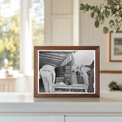 Workers with Crate of Chickens Brownwood Texas 1939