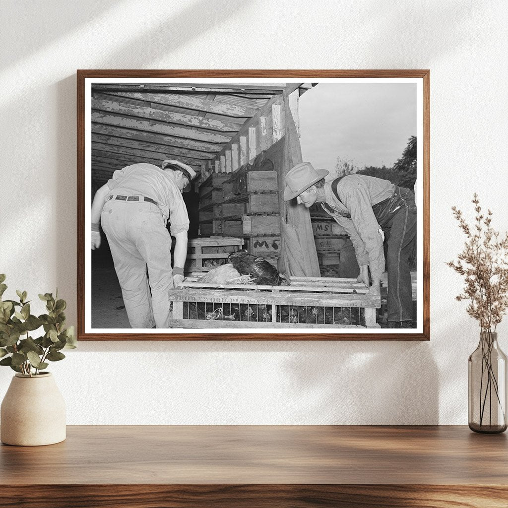 Workers with Crate of Chickens Brownwood Texas 1939