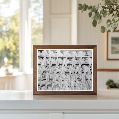 Turkeys Await Shipment at Poultry House Brownwood 1939