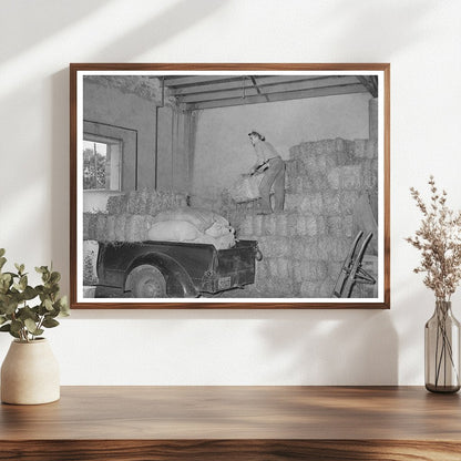Loading Hay at a Feed Store in Brownwood Texas 1939