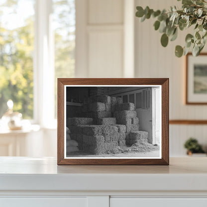 Peanut Hay Storage in Brownwood Texas November 1939