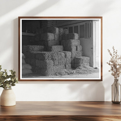 Peanut Hay Storage in Brownwood Texas November 1939