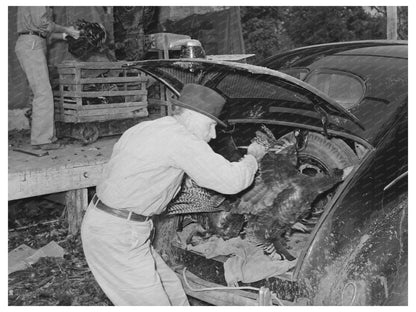 Farmer Unloading Turkeys in Brownwood Texas November 1939