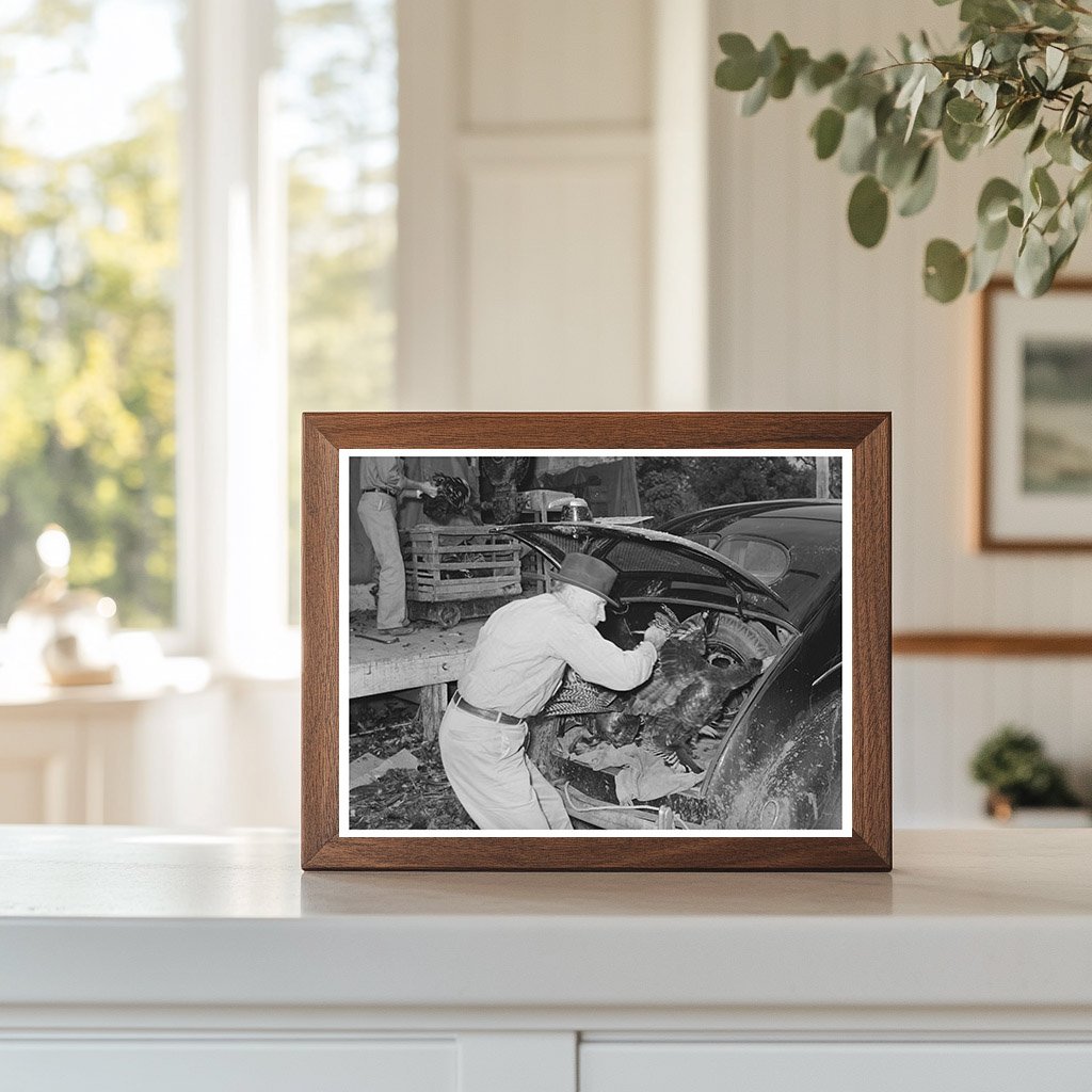 Farmer Unloading Turkeys in Brownwood Texas November 1939