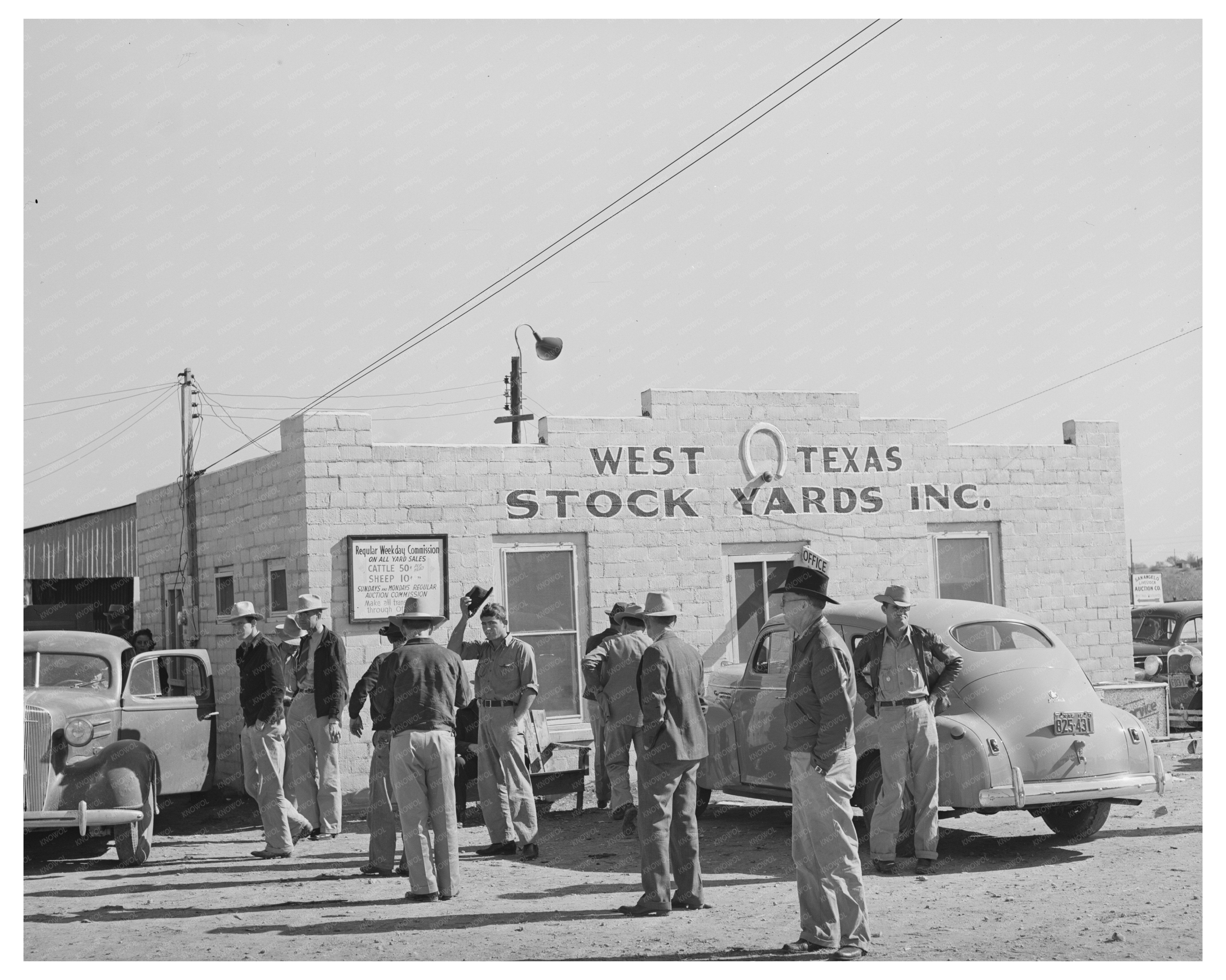 West Texas Livestock Auction San Angelo November 1939