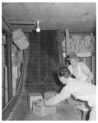 Workers Handling Groceries at Wholesale Facility 1939