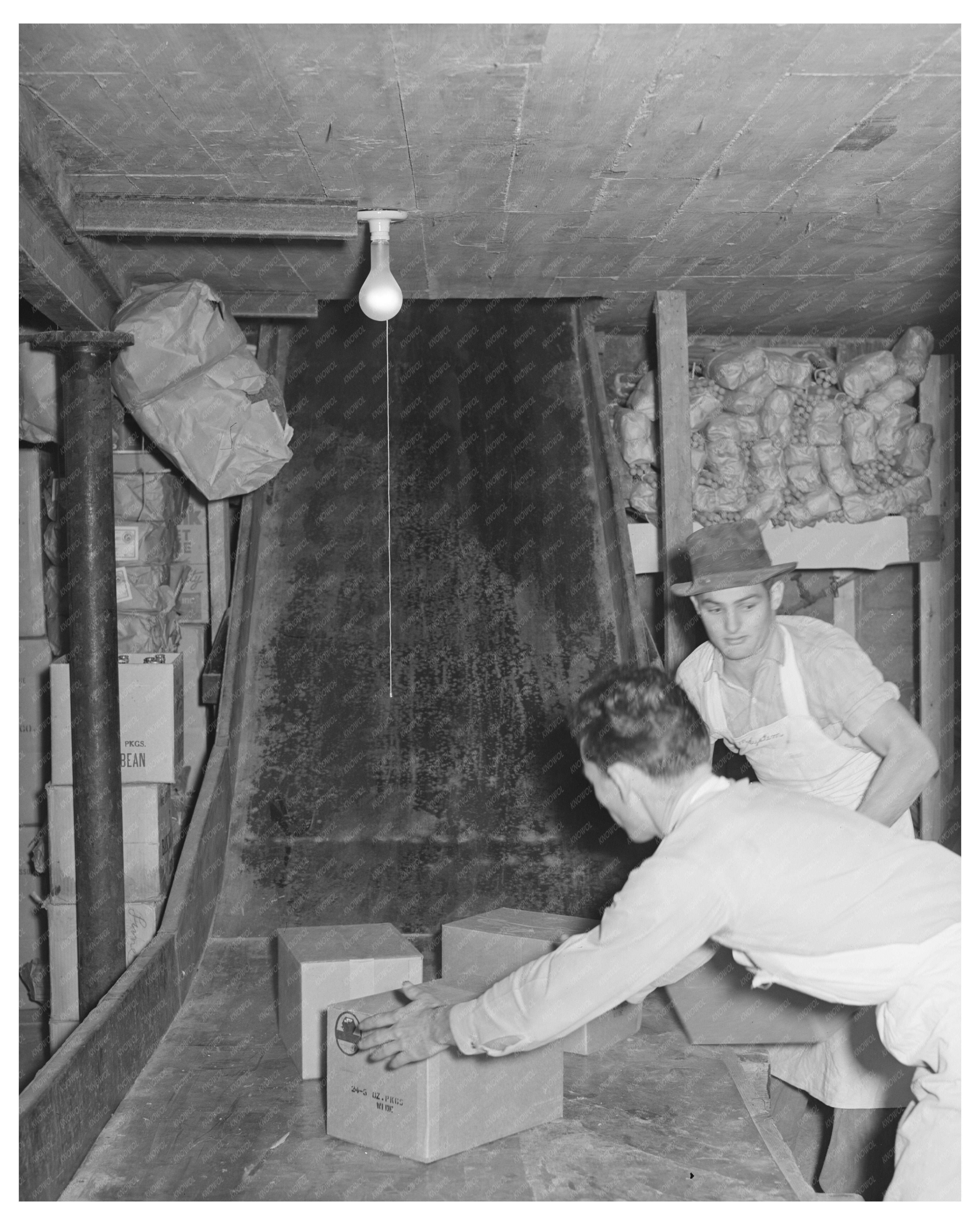 Workers Handling Groceries at Wholesale Facility 1939