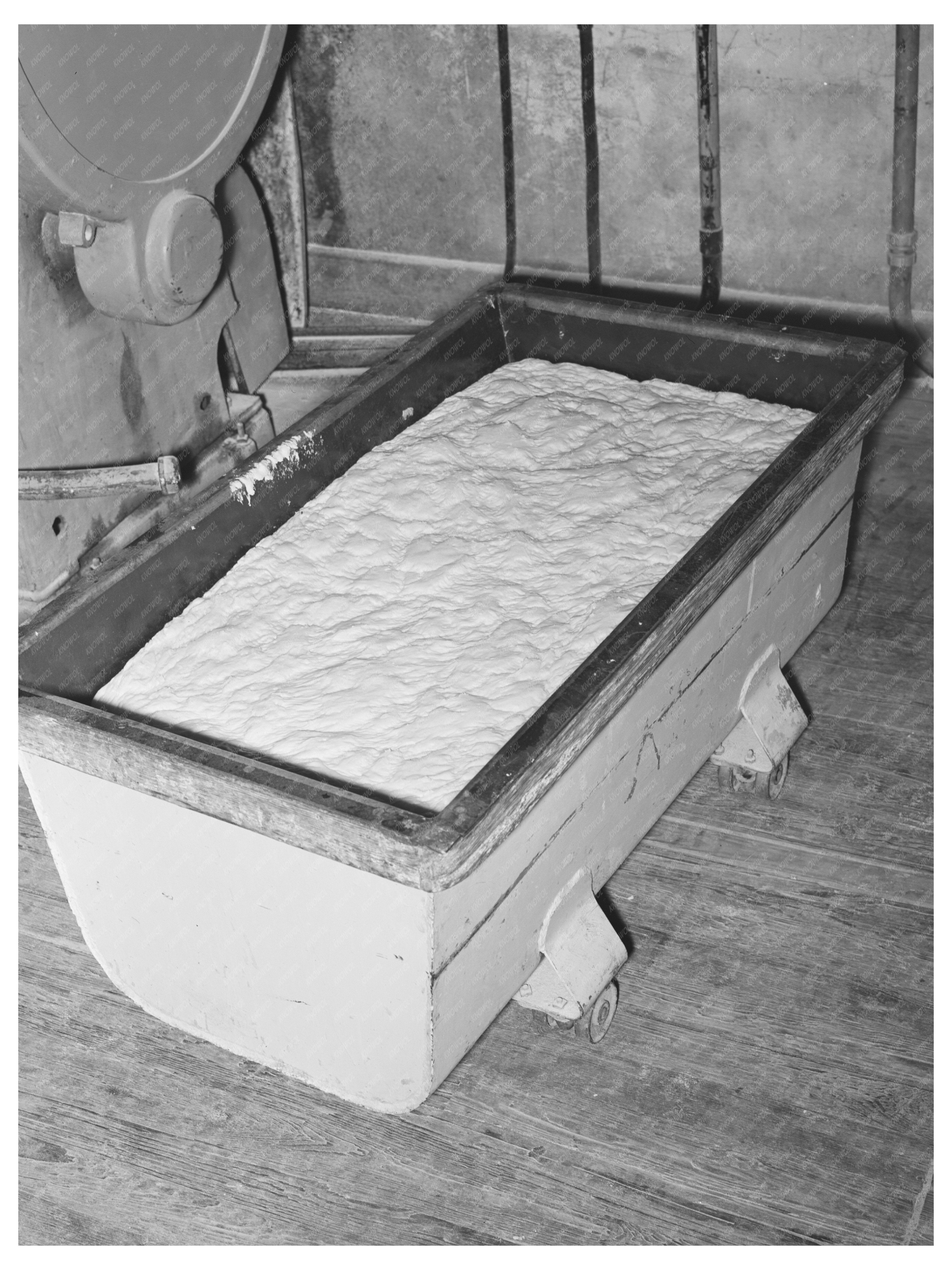 Dough Rising at Bakery San Angelo Texas November 1939