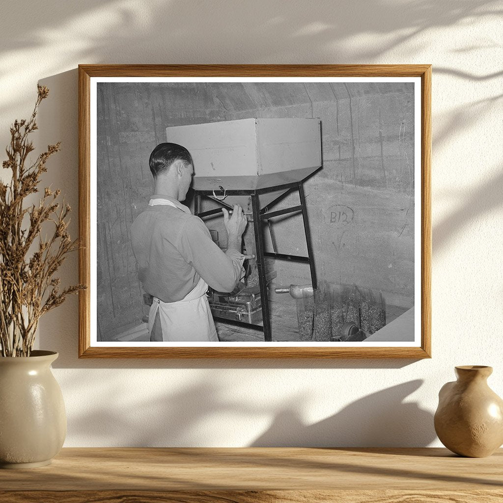 Packing Pinto Beans in San Angelo Texas November 1939